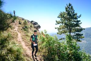 BIB: 
                            <button type="button" onclick="openModal(26606493)" class="btn btn-primary btn-sm float-right btn-popup" data-toggle="modal" data-target=".modal-high-quality">
                        <i class="fas fa-shopping-cart"></i> Add to Cart
                    </button>
                                            <button type="button" onclick="isThisMe(26606493, true)" class="btn btn-success btn-sm float-right btn-popup btn-isme hidden" data-toggle="tooltip" data-placement="bottom" title="นี่คือรูปของคุณใช่ไหม คลิกที่นี่เพื่อเอาเข้าอัลบั้ม">
                        <i class="fas fa-plus"></i> Add to album
                    </button>
                    <button type="button" onclick="isThisMe(26606493, false)" class="btn btn-warning btn-sm float-right btn-popup btn-isnotme hidden">
                        <i class="fas fa-ban"></i> Remove from album
                    </button>